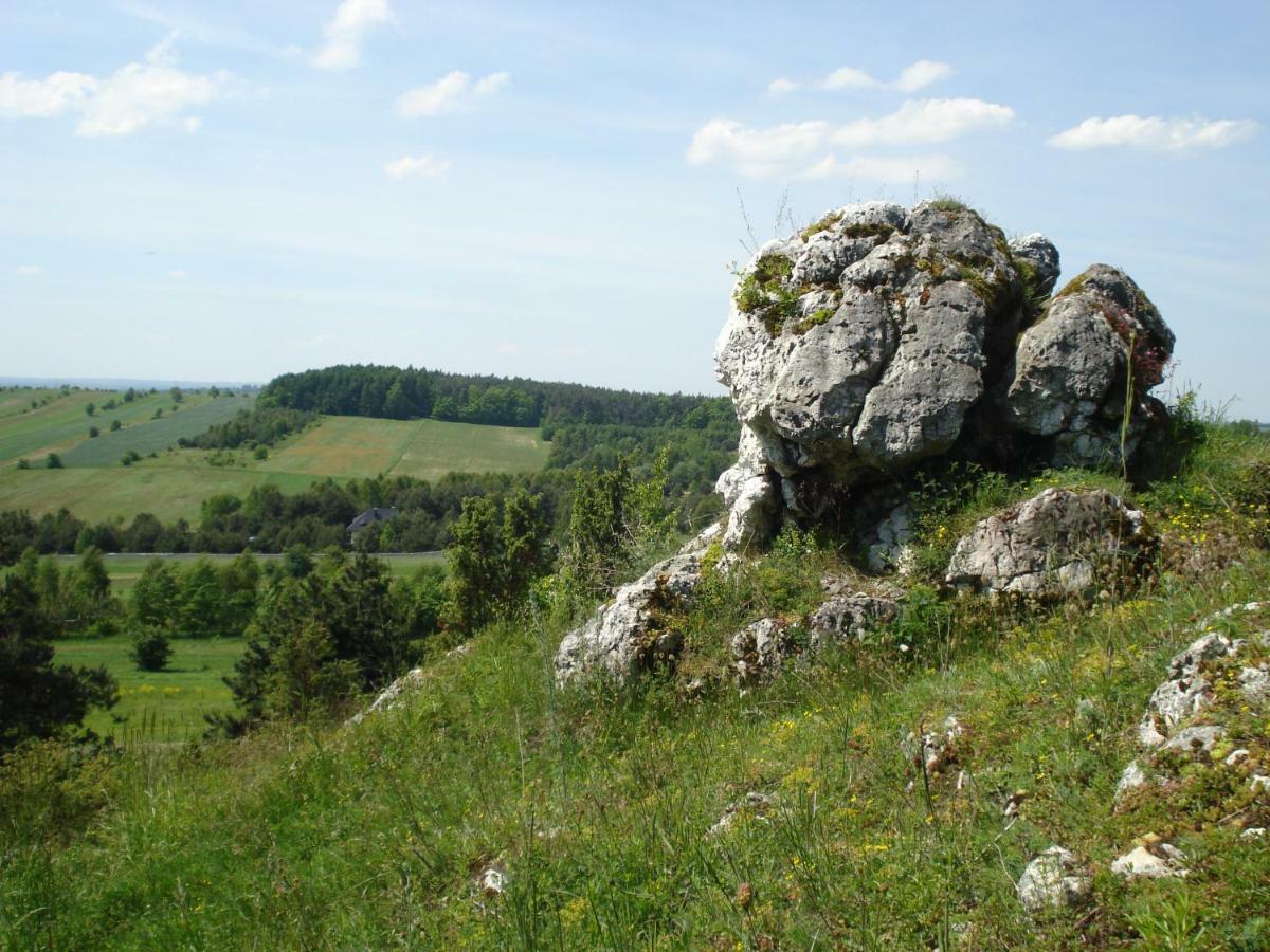 Villa Jura Pokoje Goscinne Zarki Екстериор снимка
