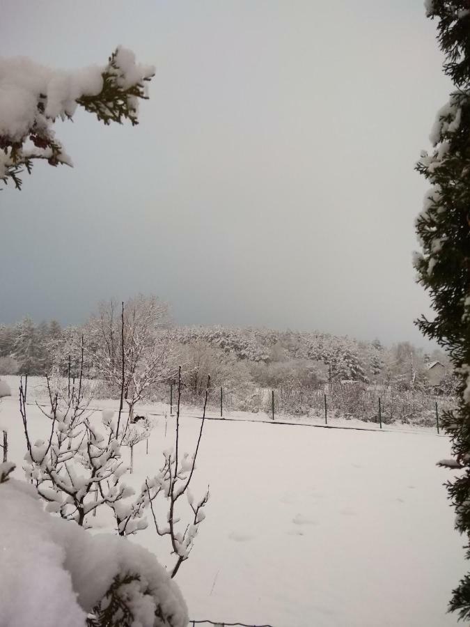Villa Jura Pokoje Goscinne Zarki Екстериор снимка